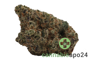 30/1 Amici BR Blueberry Runtz
