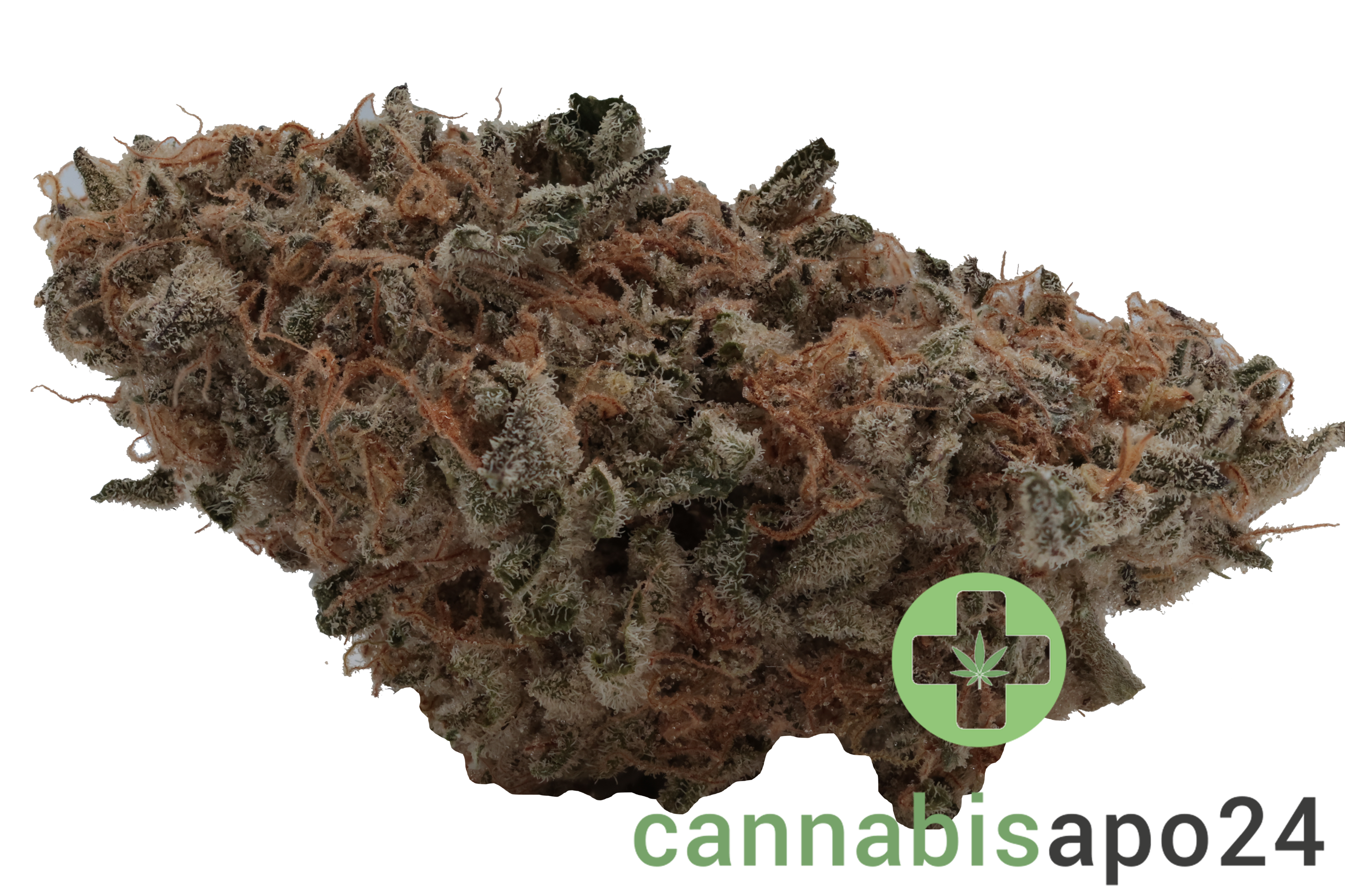 30/1 Amici CRL Crystal Locomotive