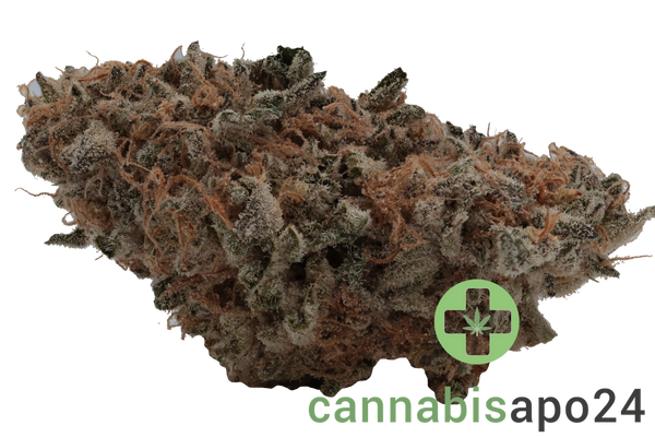 30/1 Amici CRL Crystal Locomotive