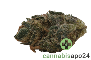 30/1 Amici SLH Super Lemon Haze