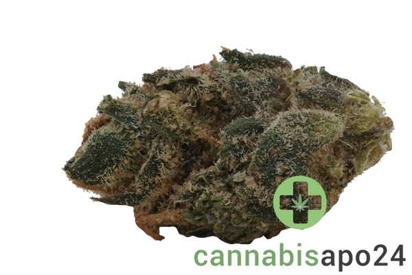 30/1 Amici SLH Super Lemon Haze