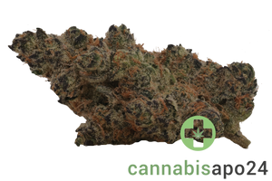 AMP OMG THC27 OMG Burger