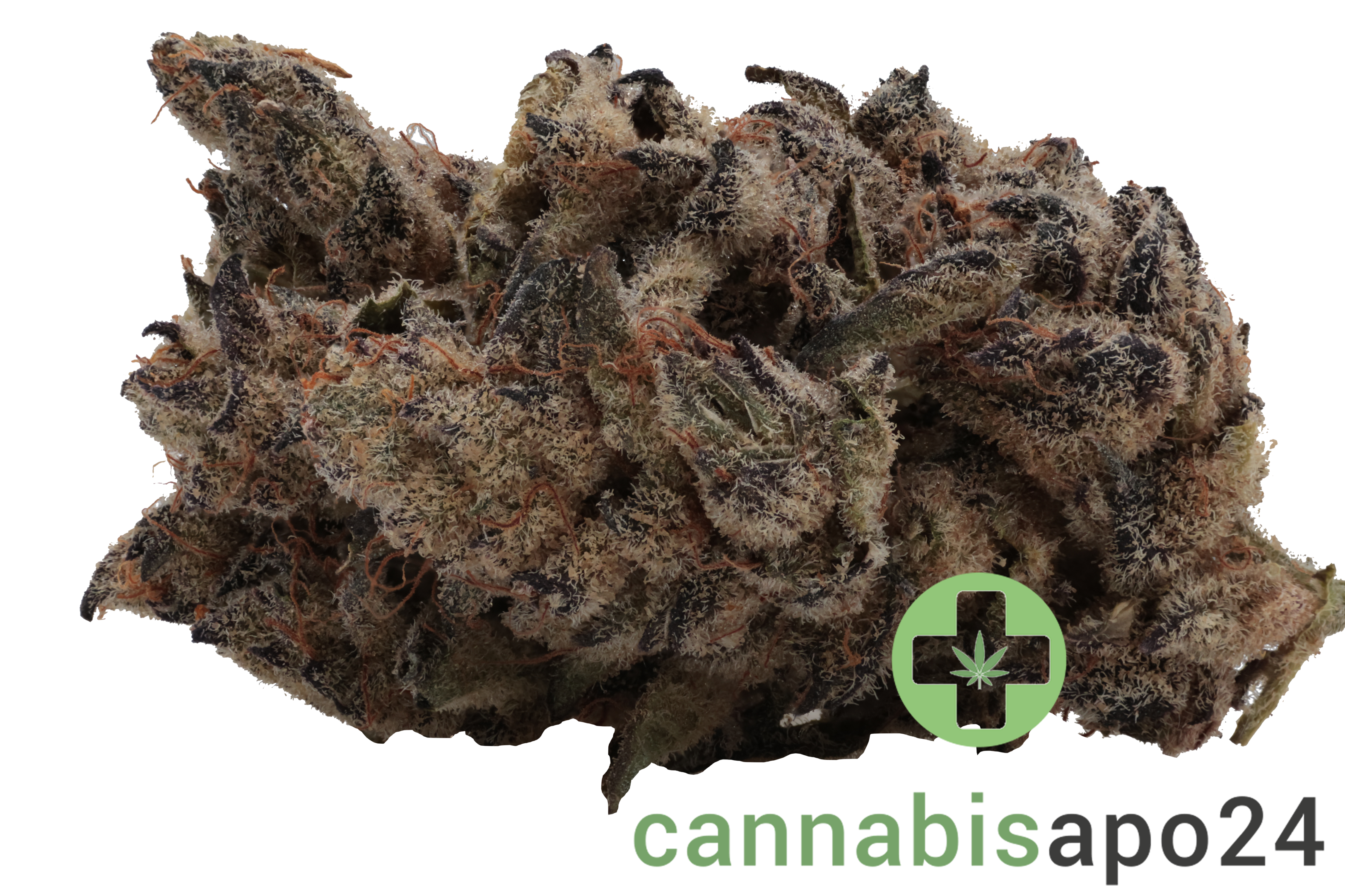 AMP ZEN RBX THC25 - White Wedding Cake RBX