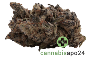 AMP ZEN RBX THC25 - White Wedding Cake RBX