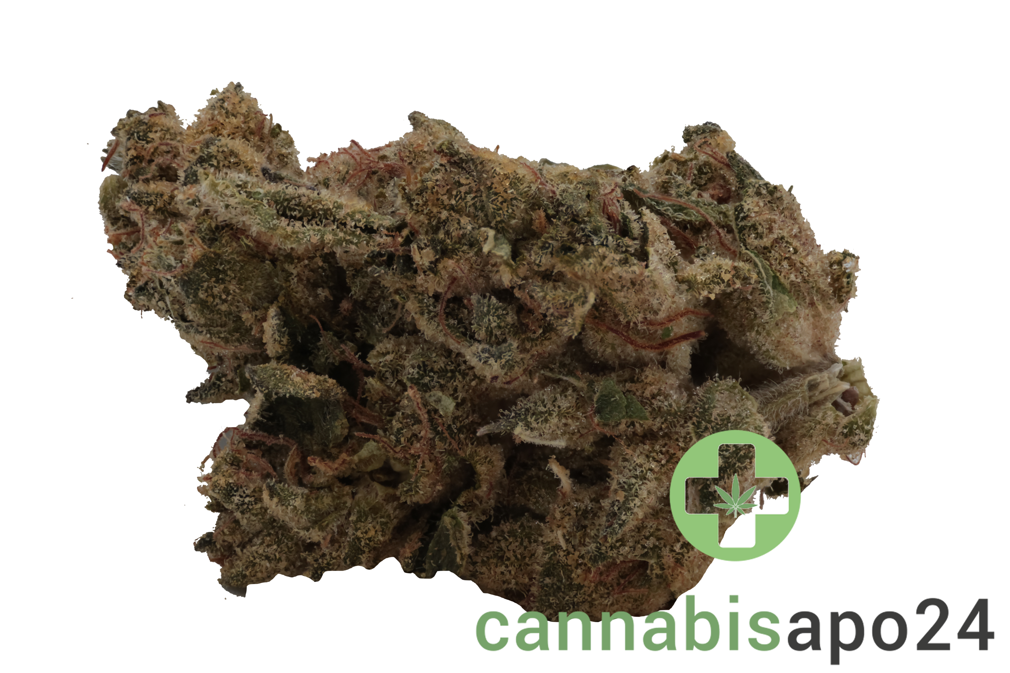 A+ KINEO Spirit NO.1 25/1 Muel Fuel