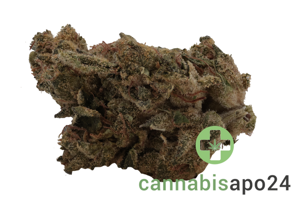 A+ KINEO Spirit NO.1 25/1 Muel Fuel