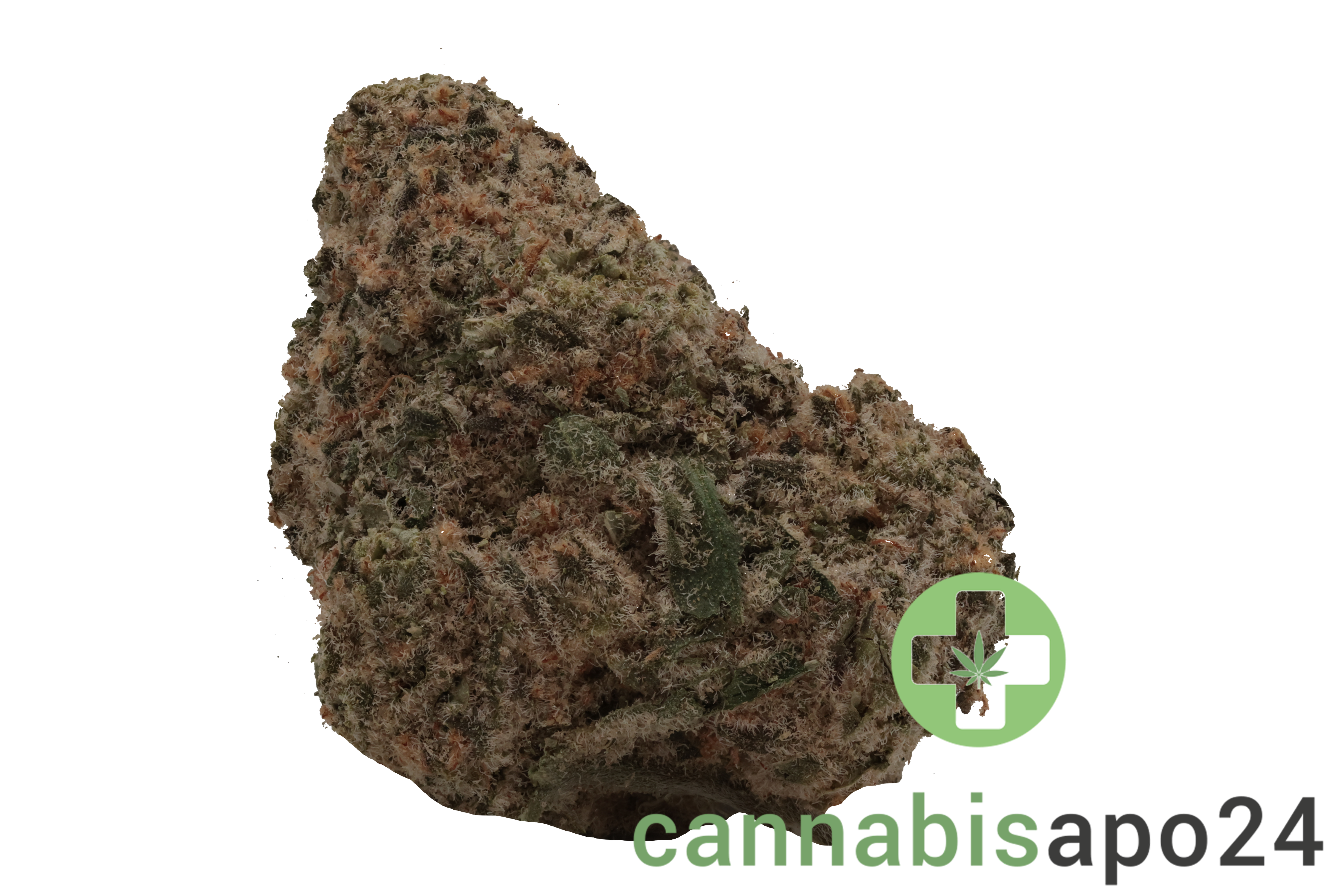 AVAAY 27/1 MIM - Midnight Mimosa