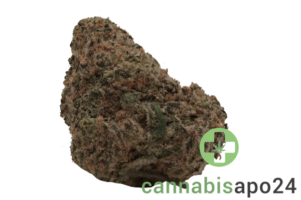 AVAAY 27/1 MIM - Midnight Mimosa