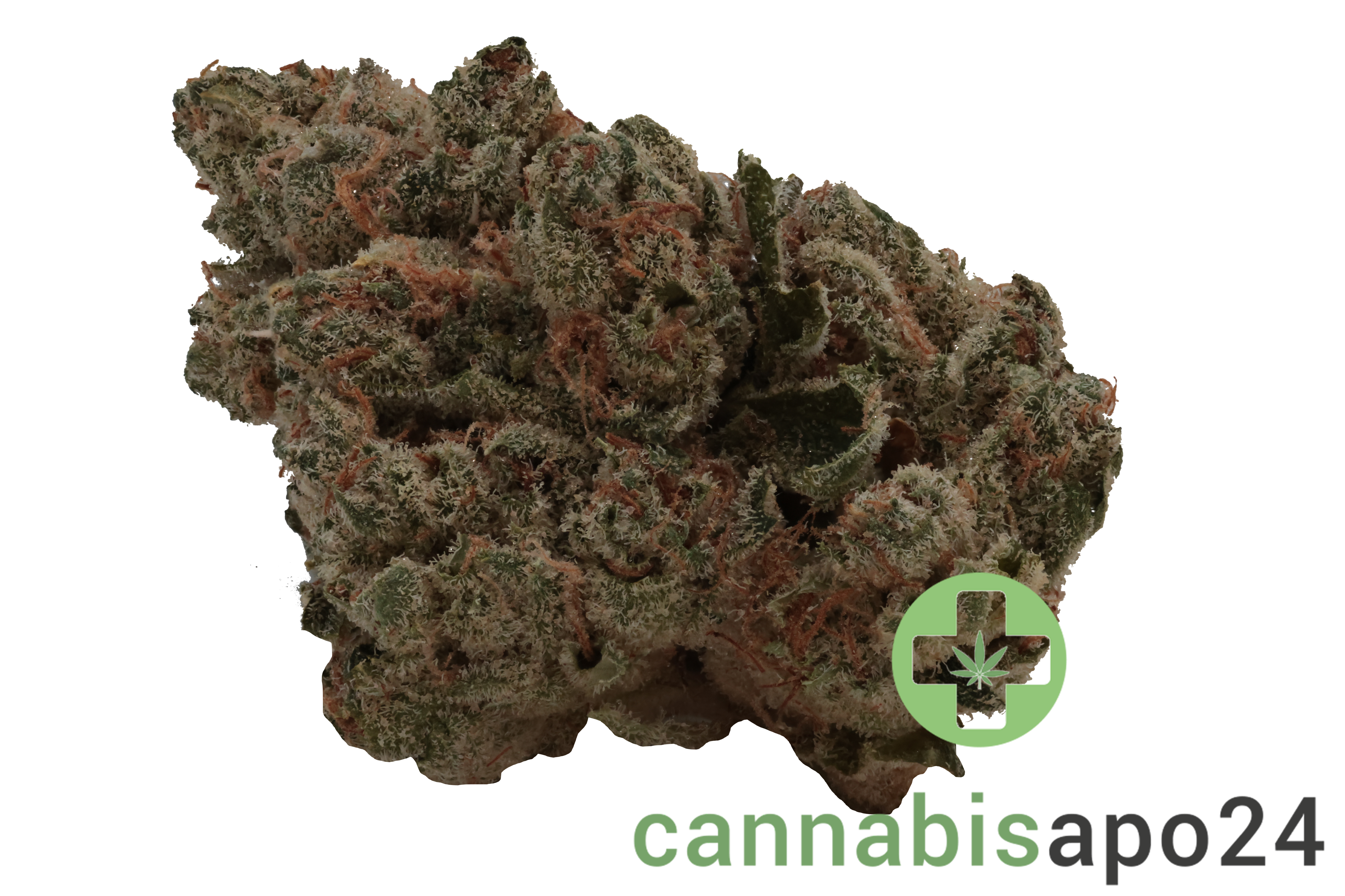 AVAAY Khalifa 24/1 KK Khalifa Kush