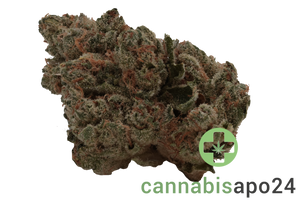 AVAAY Khalifa 24/1 KK Khalifa Kush