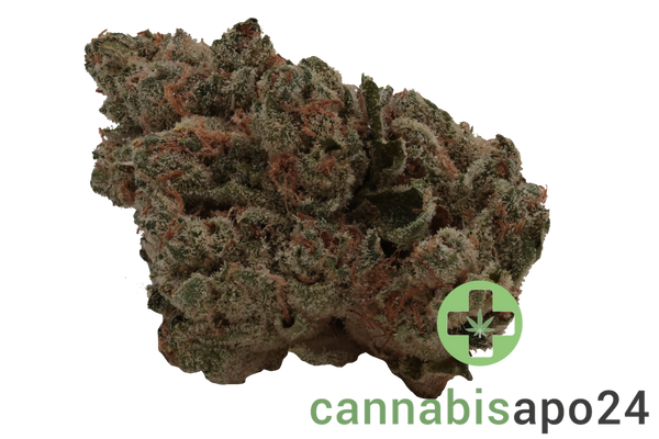 AVAAY Khalifa 24/1 KK Khalifa Kush