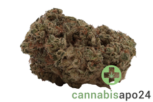 AVAAY Khalifa 28/1 KM Khalifa Mints