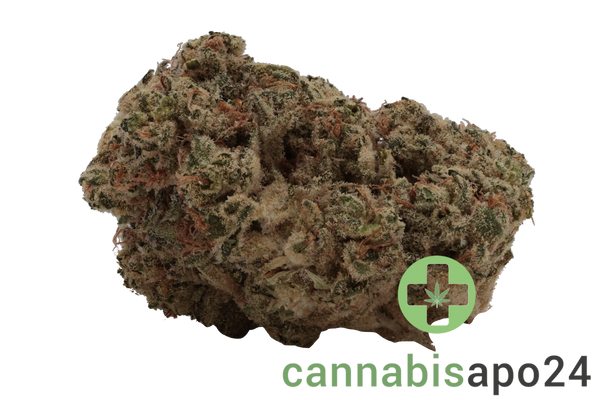 AVAAY Khalifa 28/1 KM Khalifa Mints