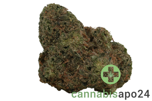 AVAAY Signature 26/1 BYY - Blueberry Yum Yum