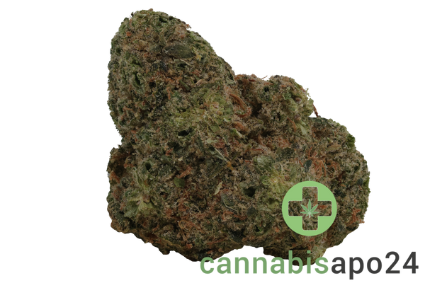 AVAAY Signature 26/1 BYY - Blueberry Yum Yum