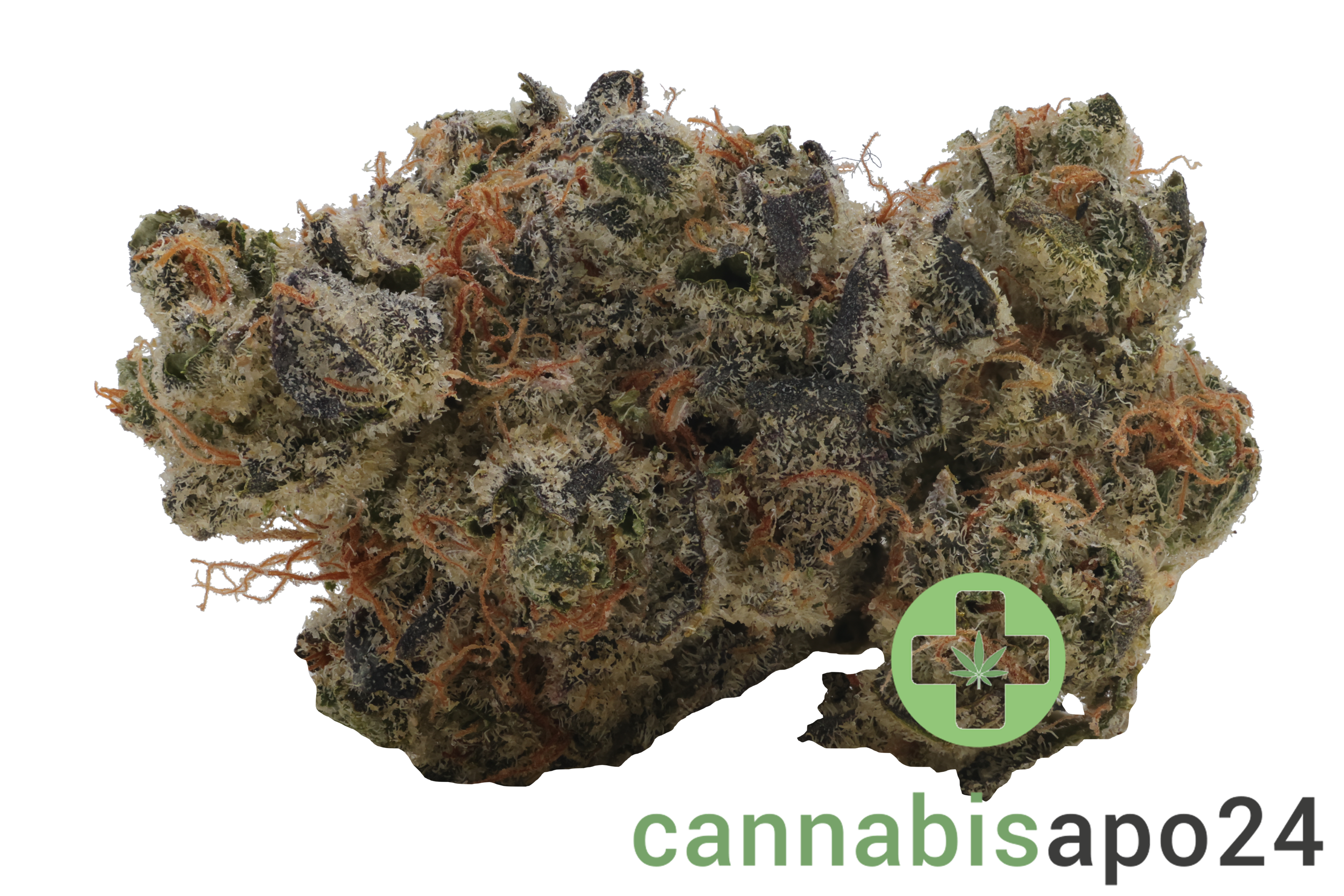 AVAAY Signature 26/1 WB - Waffle Bites