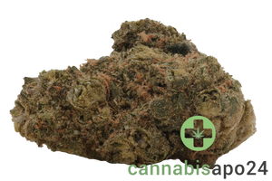 Demecan AV Regular Drop - Citroli