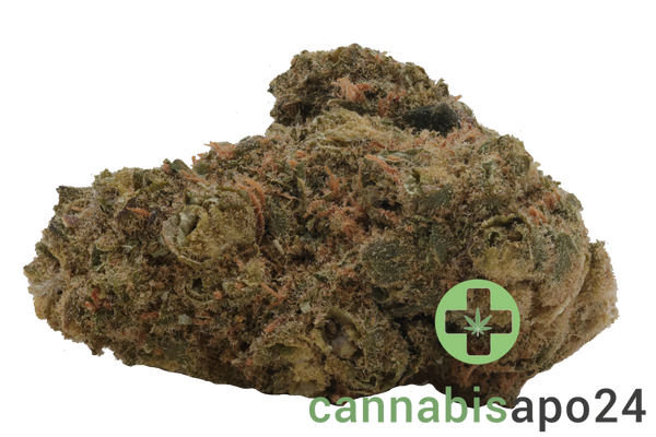 Demecan AV Regular Drop - Citroli