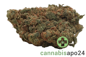 Balancial PT-S1 JH Jack Herer