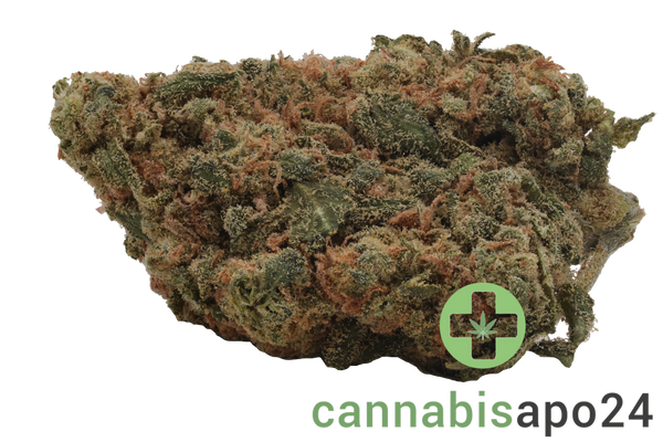 Balancial PT-S1 JH Jack Herer