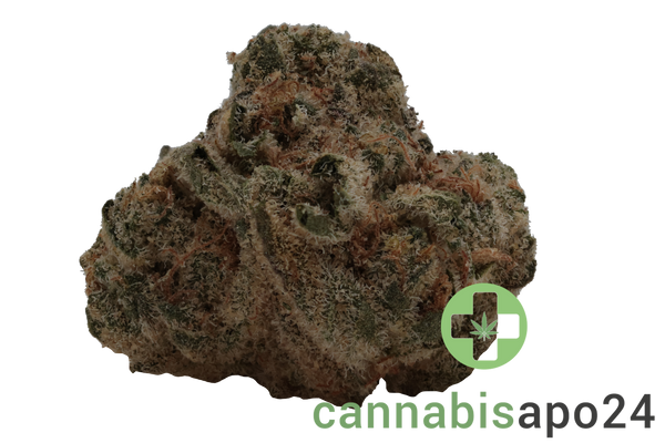 Barongo 26/1 LAK Laker Kush