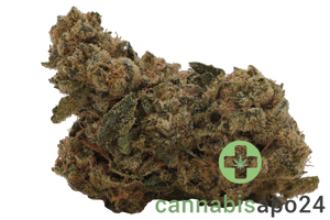 Barongo 30/1 Dynamo - Kush Cake