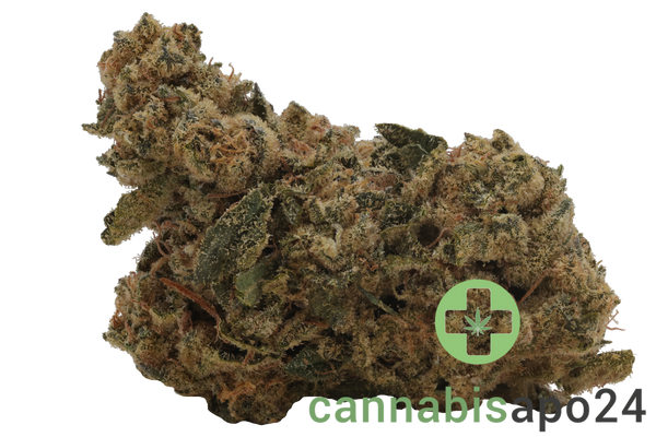 Barongo 30/1 Dynamo - Kush Cake