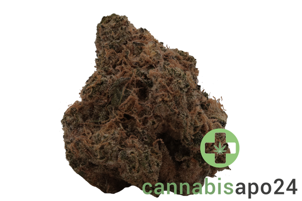 Barongo 30/1 ECC Cheddar Cheese