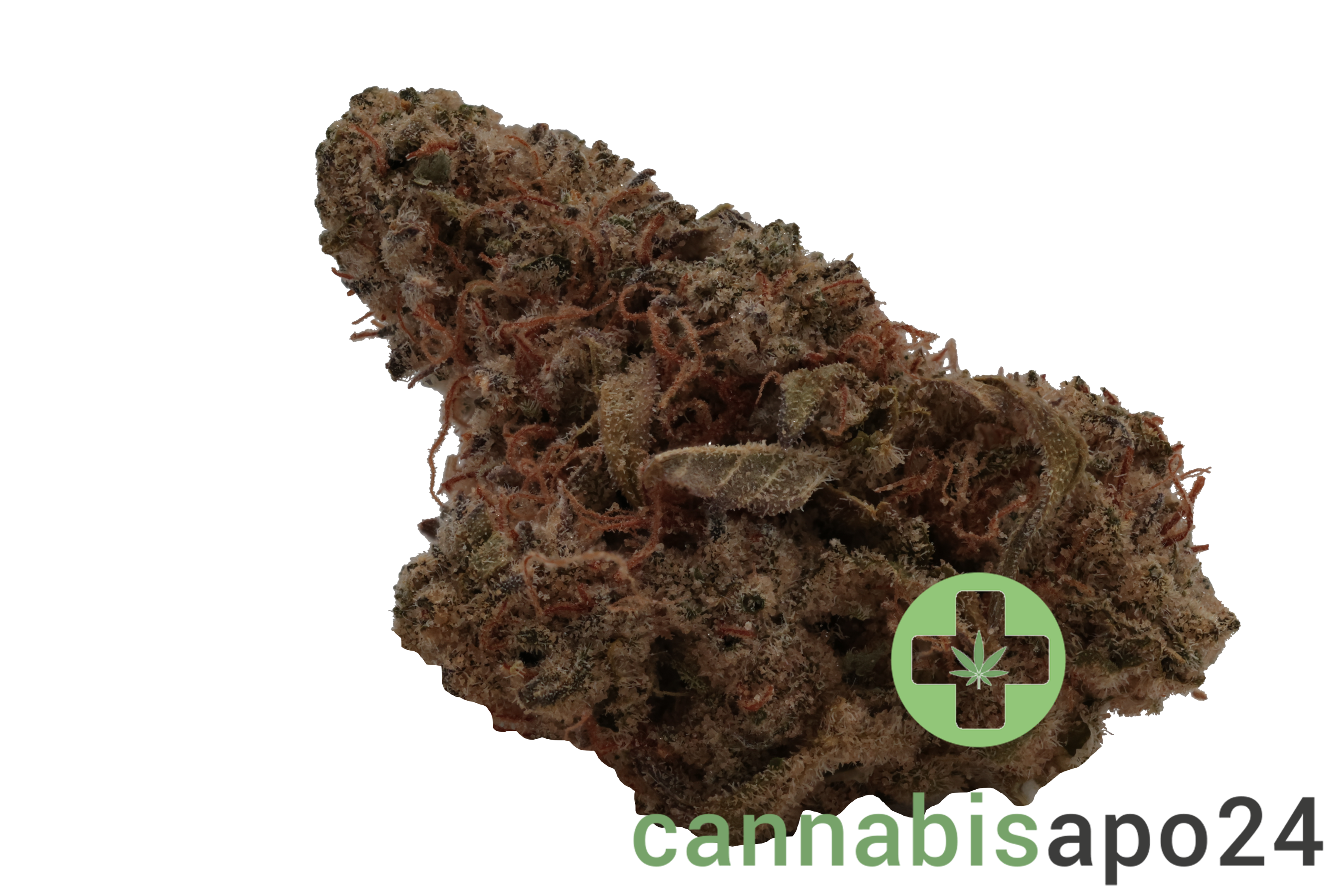 Barongo 30/1 ZP Zesty Parm