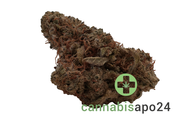 Barongo 30/1 ZP Zesty Parm