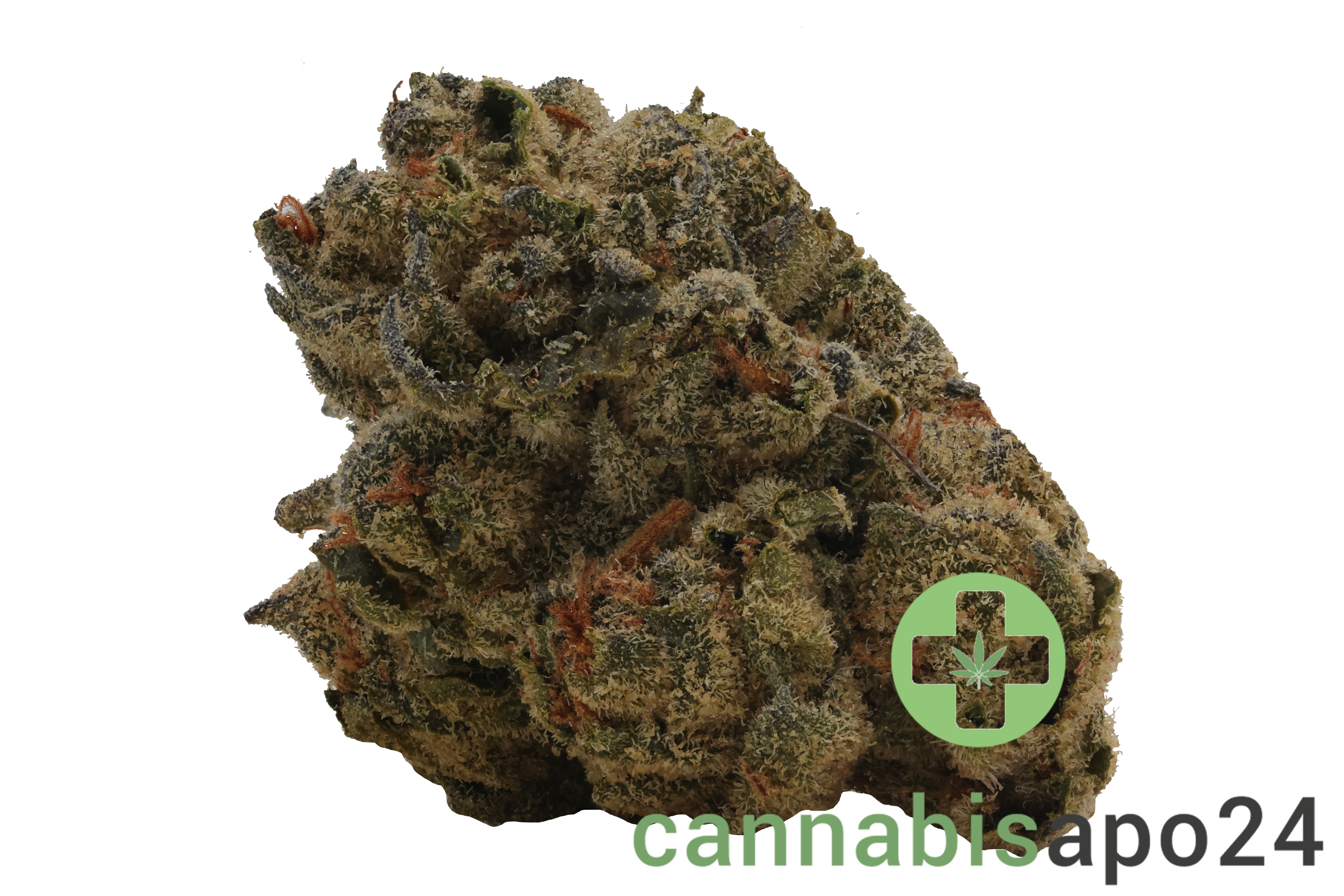 Barongo 18/1 WG Gelato 41