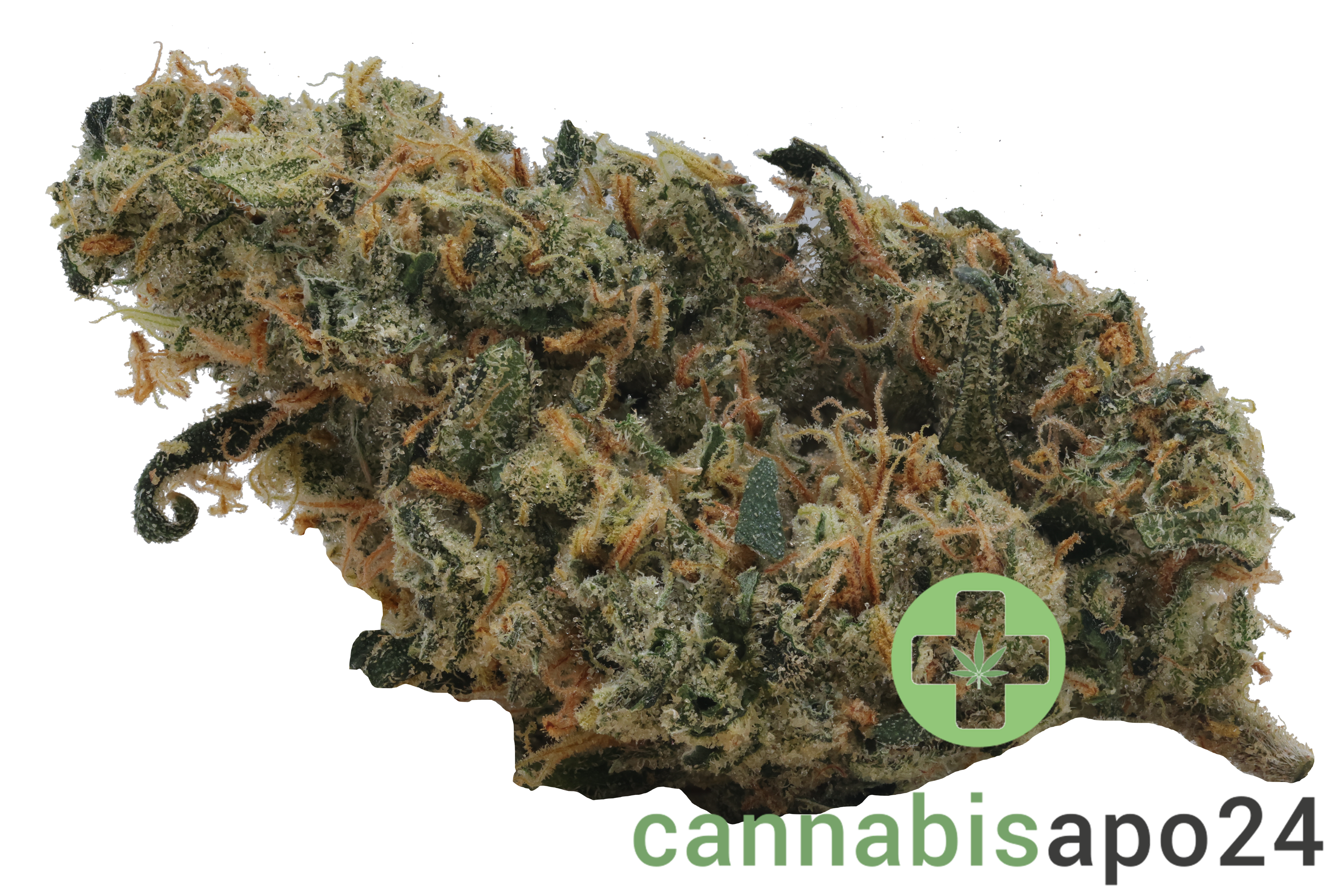 Bathera 25/1 SSH Super Silver Haze