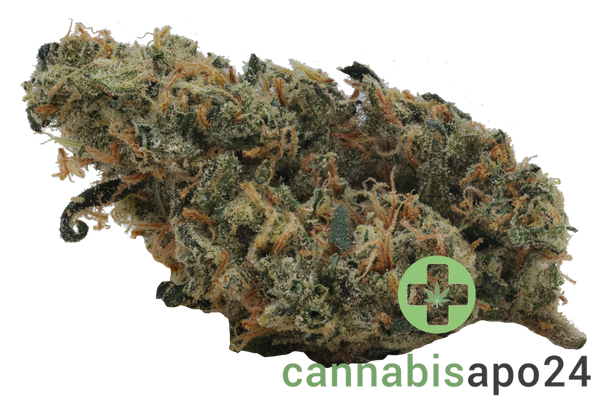 Bathera 25/1 SSH Super Silver Haze
