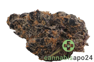 Bathera 28 CA CM Cereal Milk