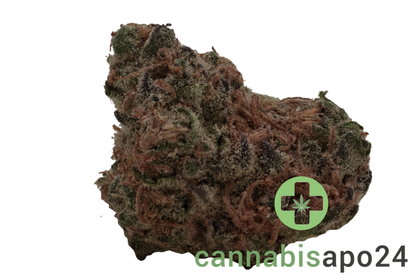 Bava Med 26/1 SOU-DI Platinum Sour Diesel