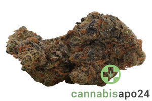 Beacon CC T30 Cosmic Cookies