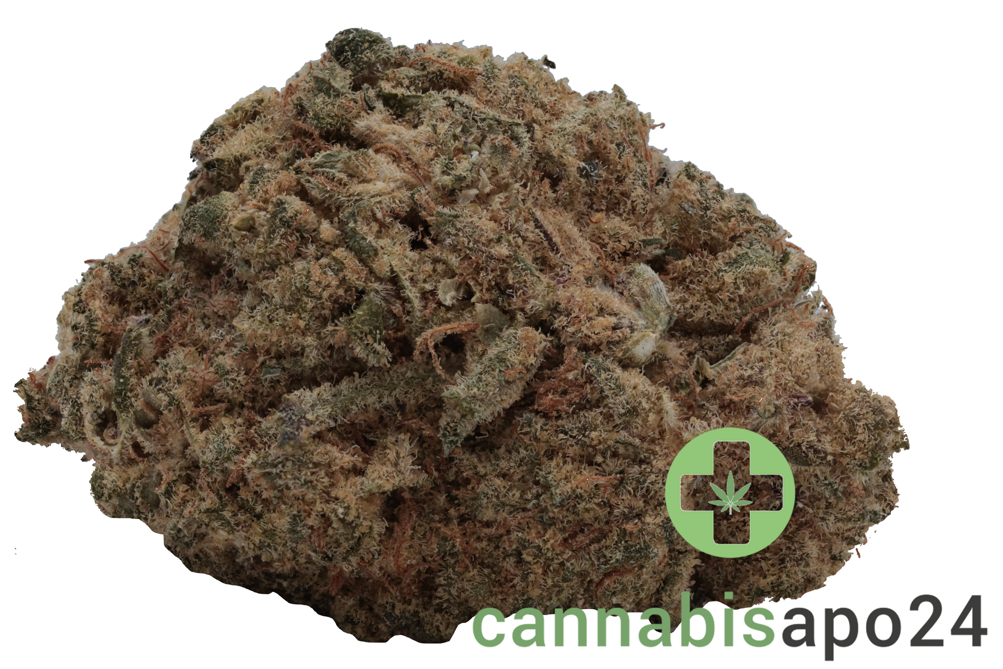 Beacon LI 26 Liquid Imagination