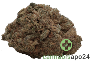 Beacon LI 26 Liquid Imagination