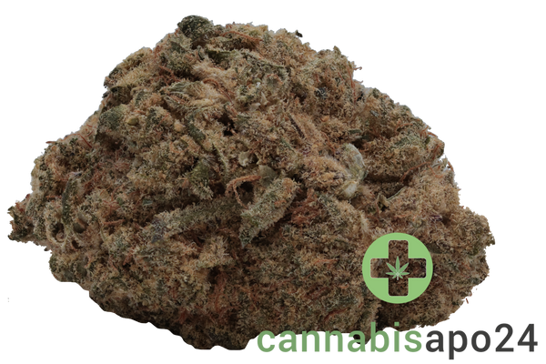 Beacon LI 26 Liquid Imagination