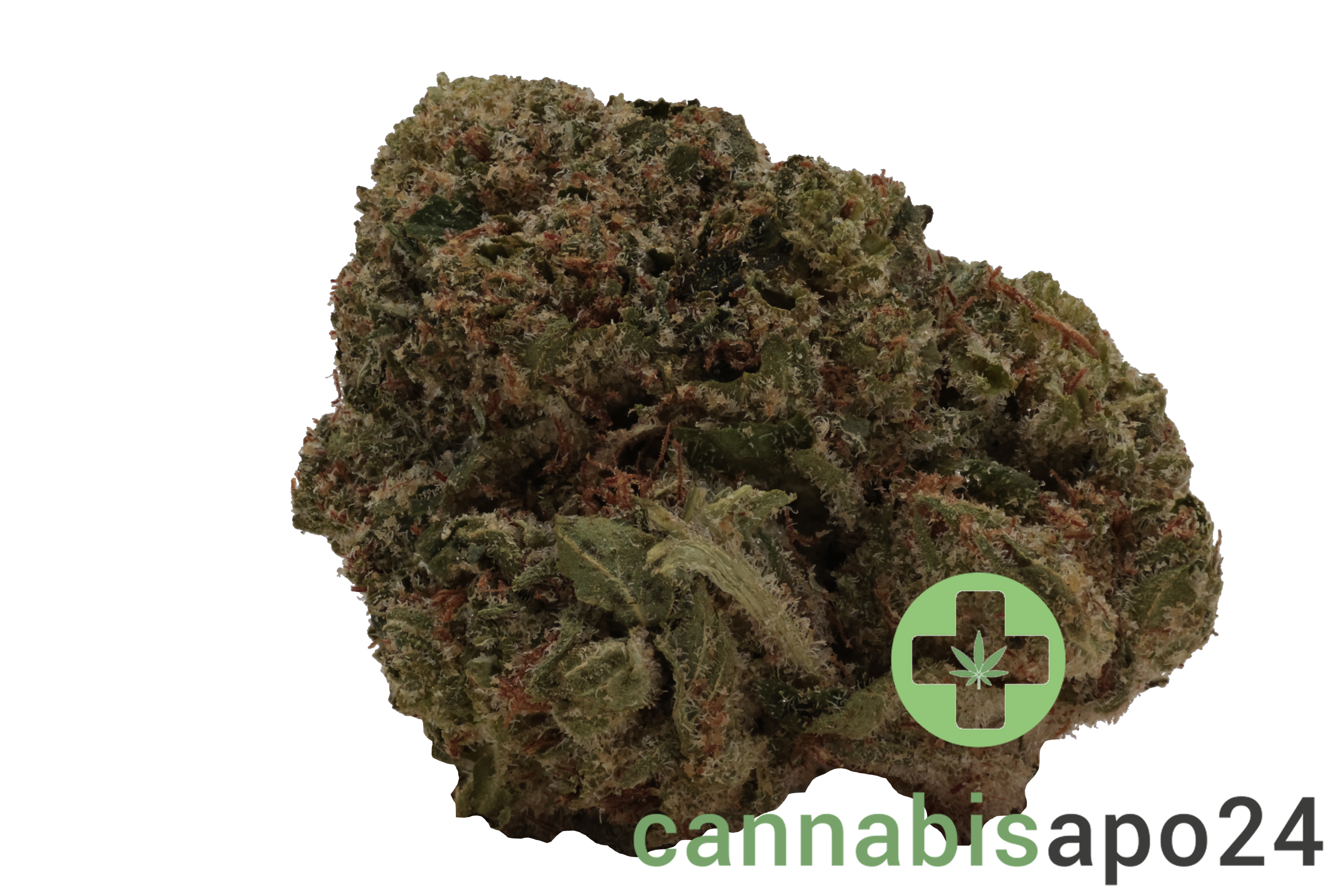 Beacon PK T22 Pink Kush