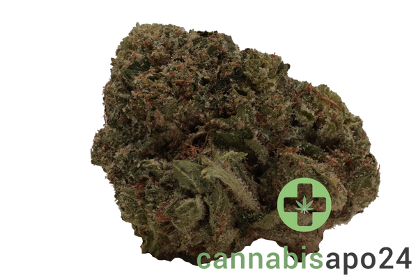 Beacon PK T22 Pink Kush