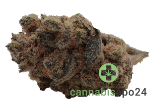 Beacon WP 24 Blueberry Pancakes