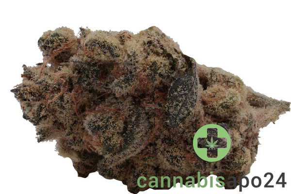 Beacon WP 24 Blueberry Pancakes