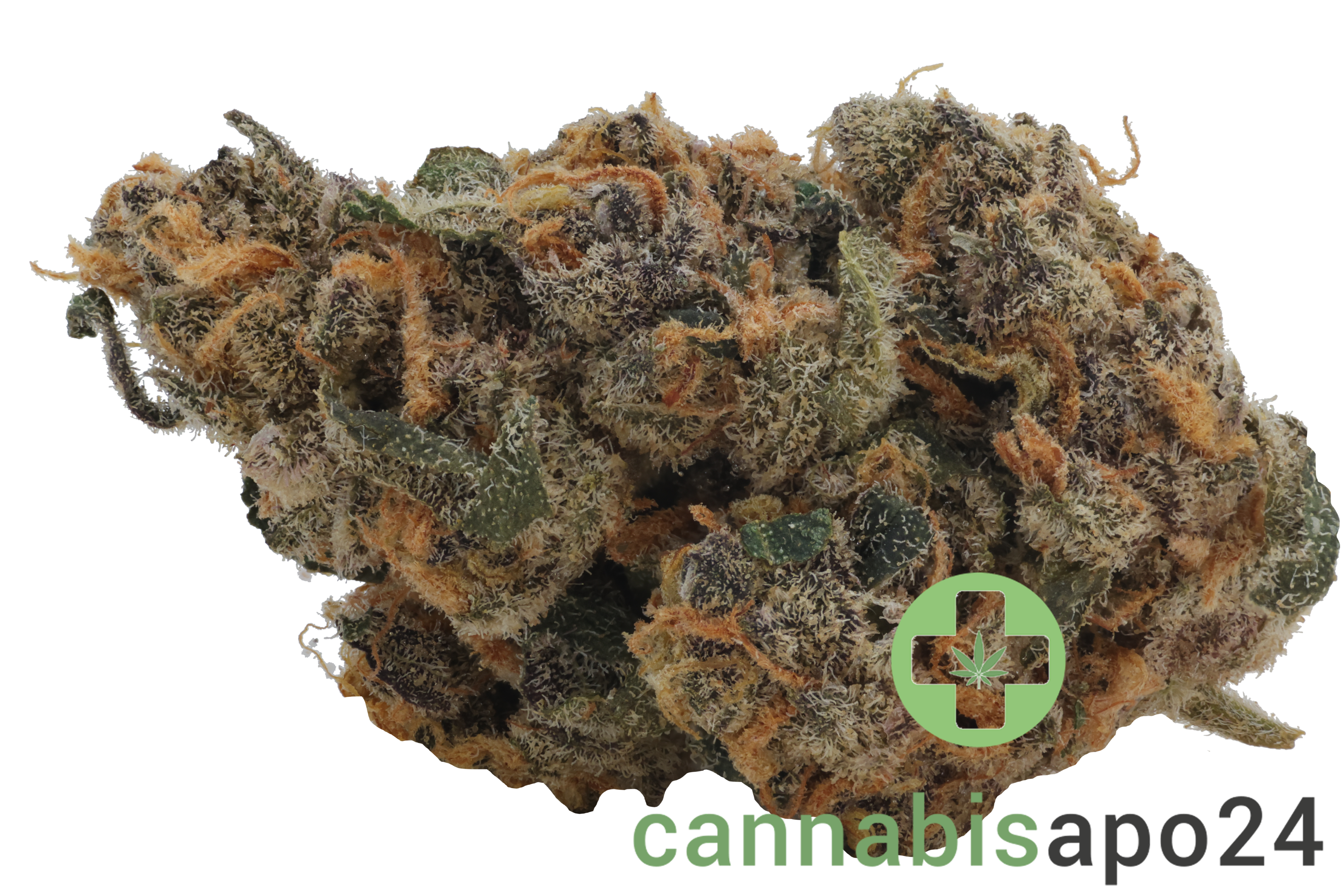 Beacon WP T25 Blueberry Pancakes