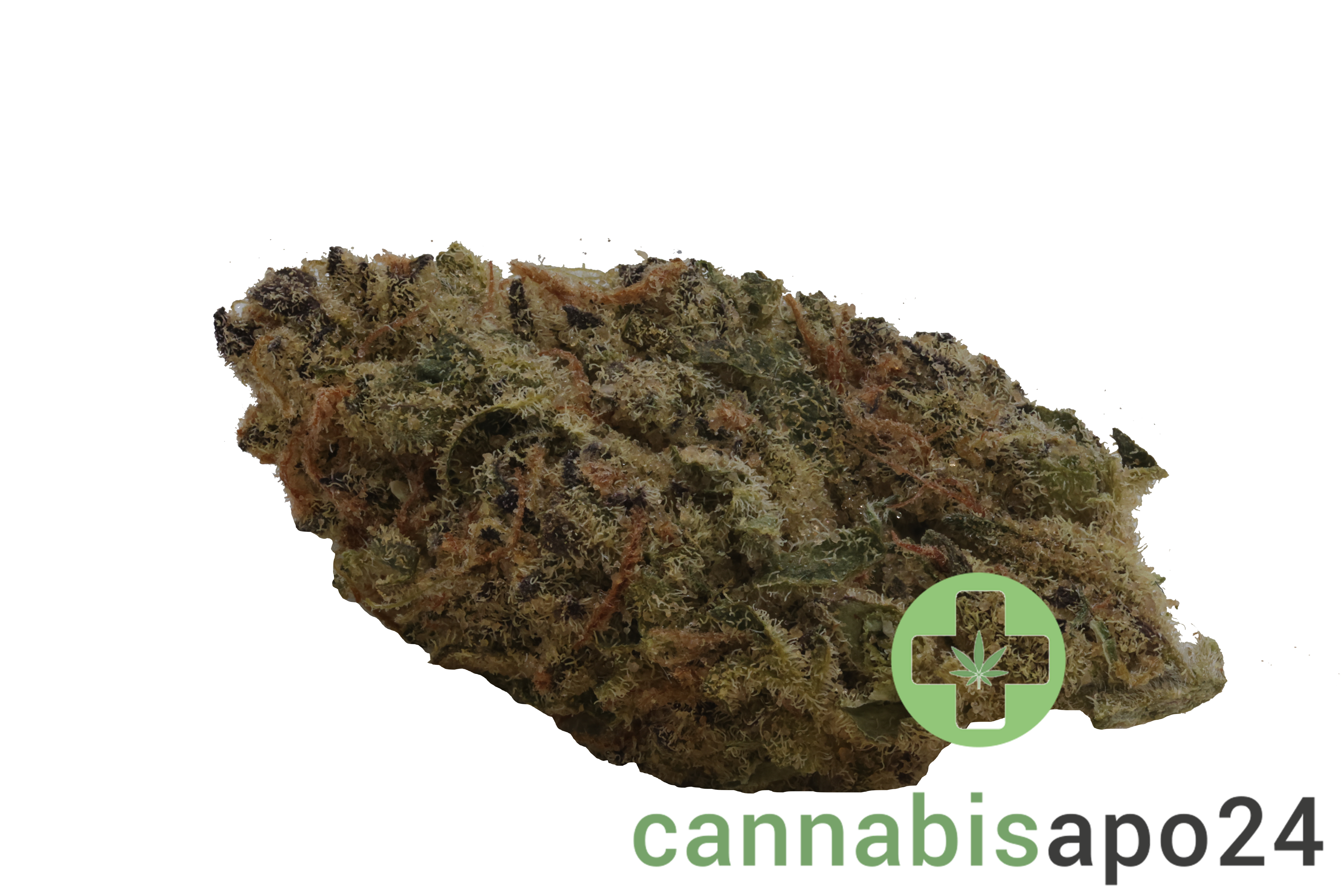 BG 26 CPY COL Capaxhy