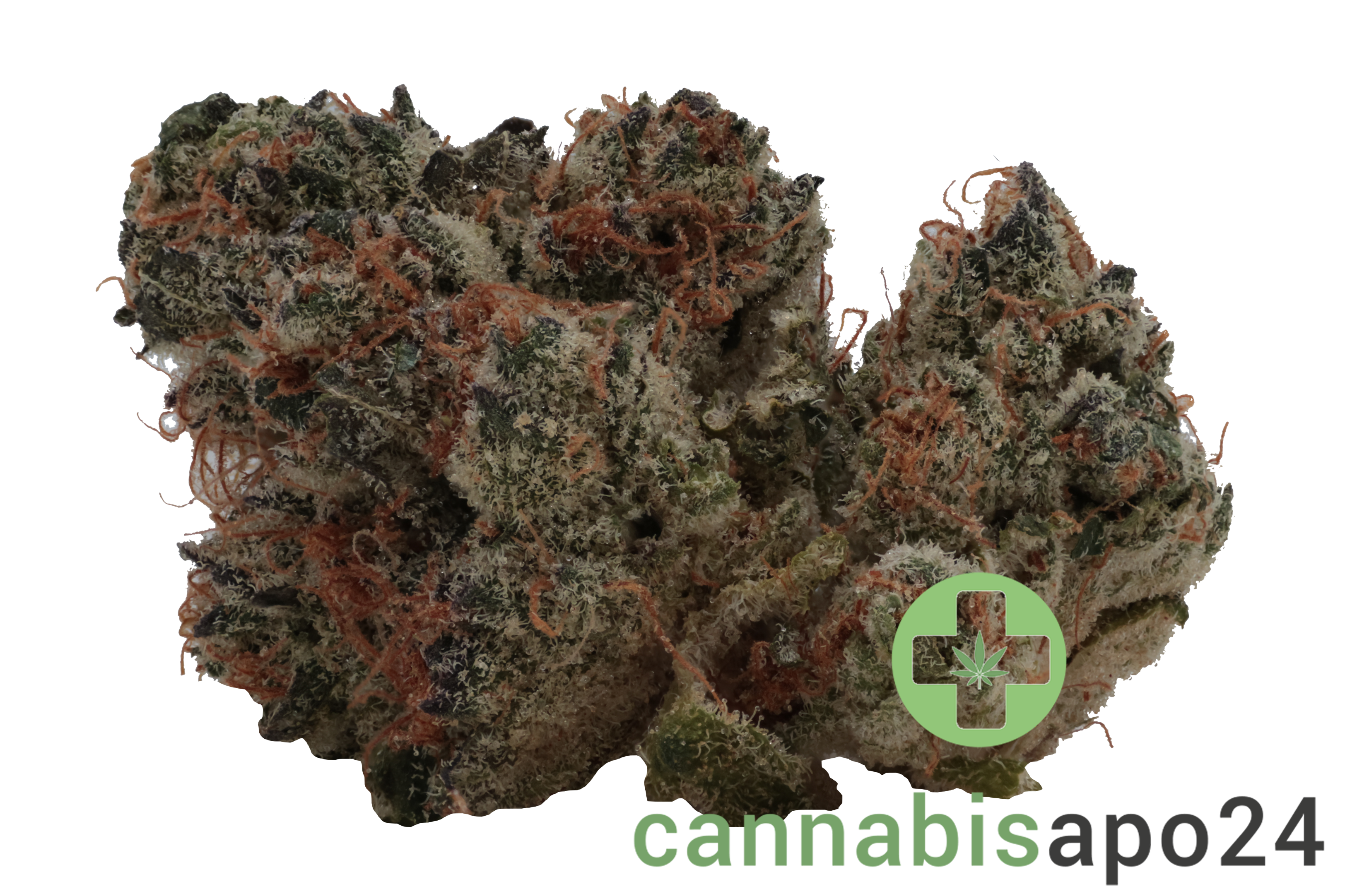 Botanics Golden ACE 24/1