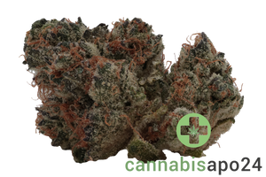 Botanics Golden ACE 24/1