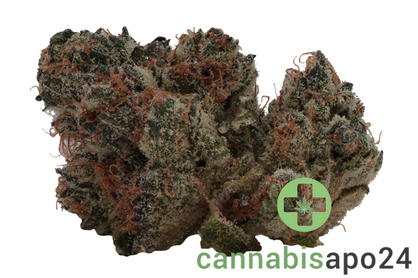 Botanics Golden ACE 24/1