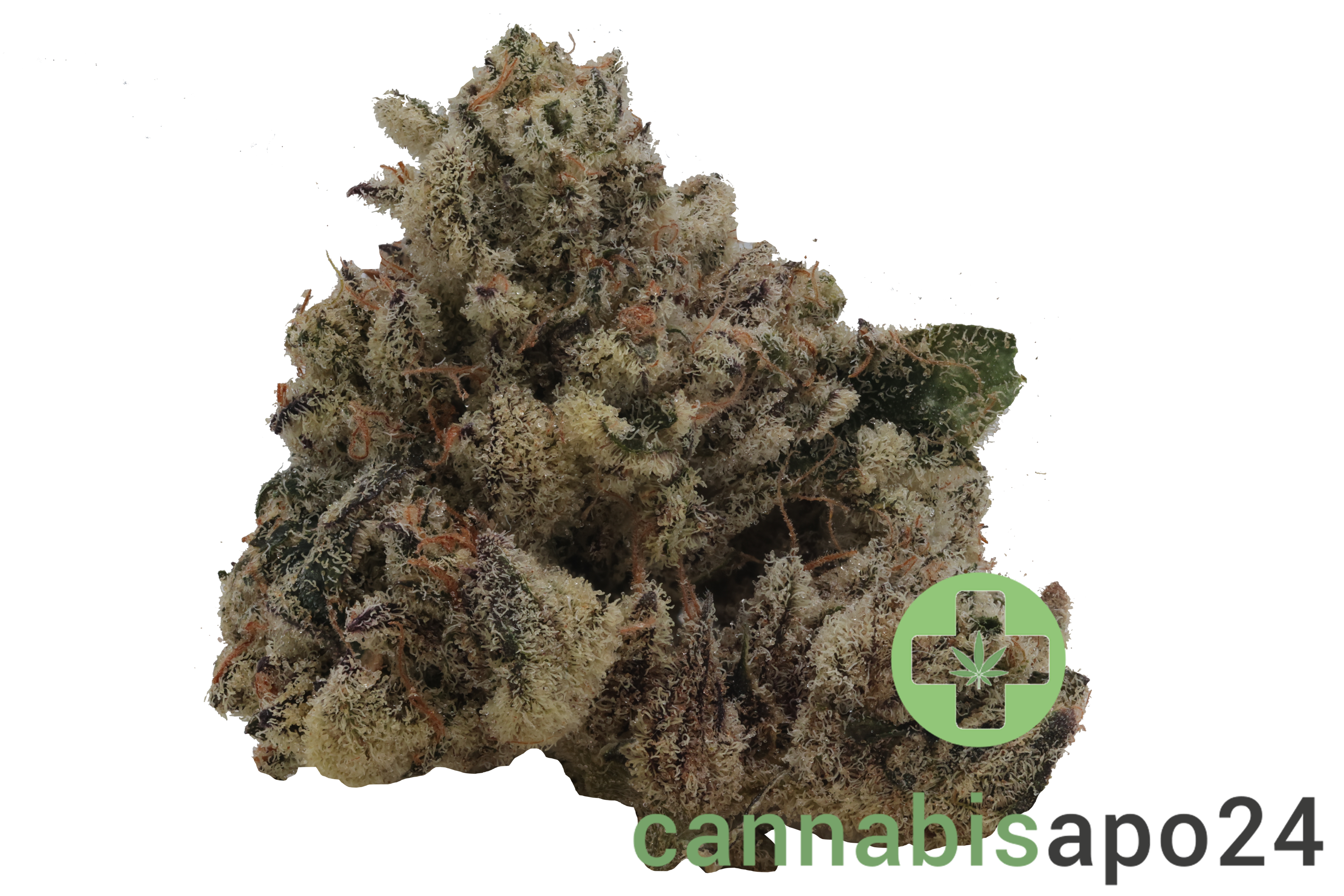 Botanics Purple Cream 26/1