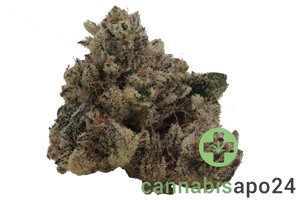 Botanics Purple Cream 26/1